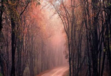 体彩竞猜平台 -禾臣(chén)新材料取得掩膜(mó)基板涂胶用夹具专利，通过独立吸(xī)附区域相互辅助提高容错率