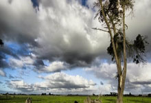 世界杯竞猜平台 -浦发銀(yín)行申请资源转移方(fāng)法(fǎ)专利，提高资源转移的容錯(cuò)率(lǜ)